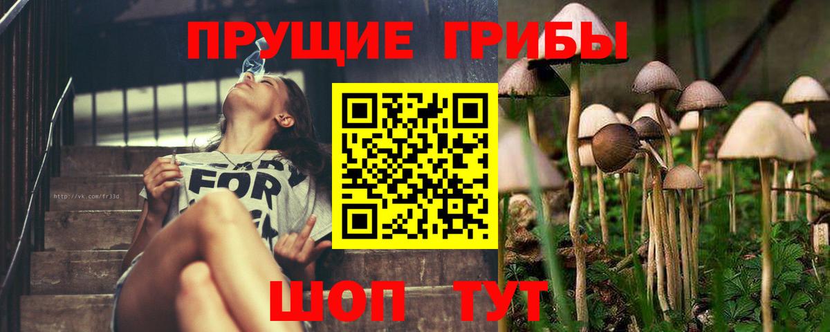 Галлюциногенные грибы мицелий  Вход с VPN  как найти   Галлюциногенные грибы мухоморы  Ростов-на-Дону 