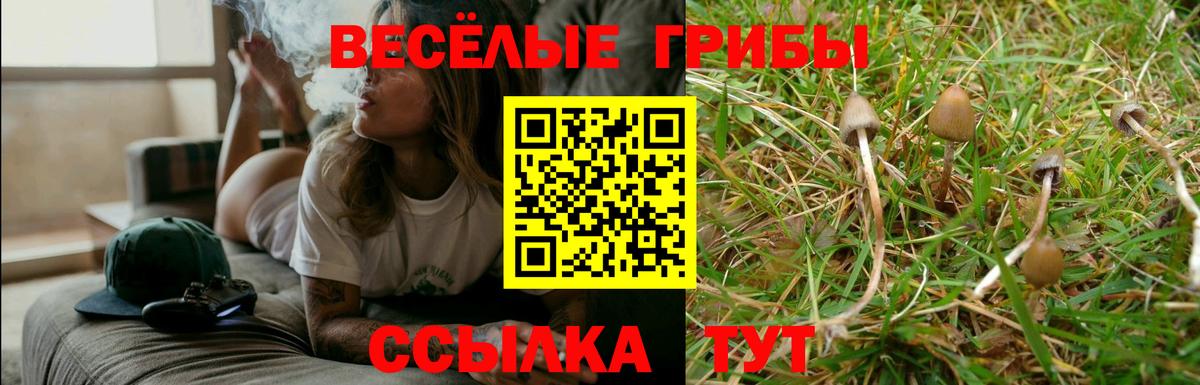 Галлюциногенные грибы Cubensis Ростов-на-Дону